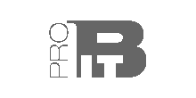 ProBIT AG Professionelle Business IT